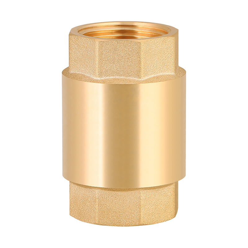 GH-4001 Brass Vertical Check Ventil