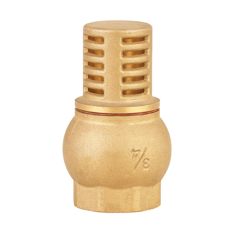 GH-4004 Messingwasserfußprüfventil